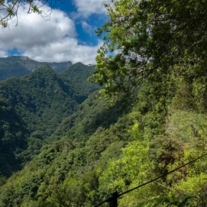 Hiking trail along the Levada do Rei with lush green mountains in the background.