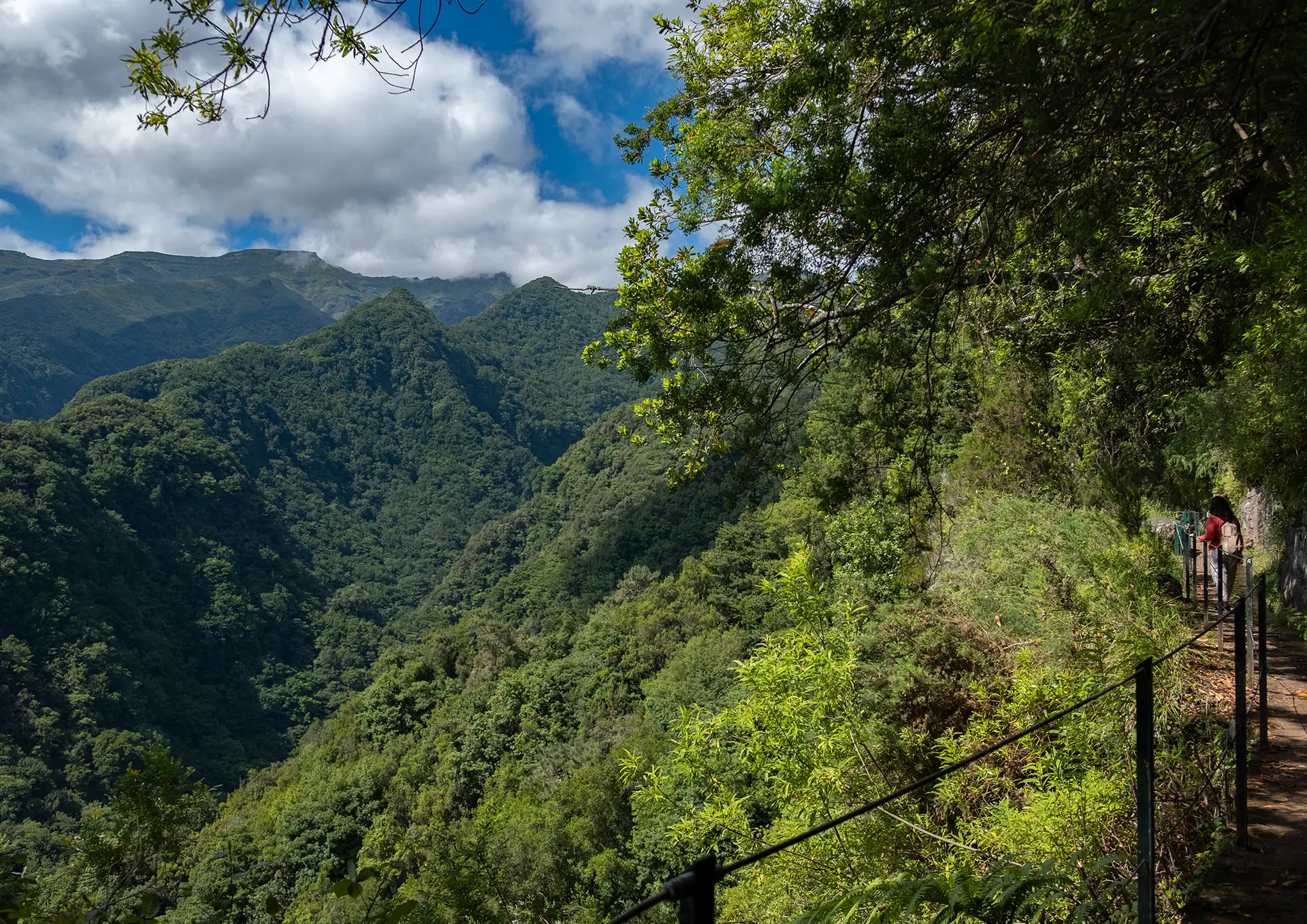 Hiking trail along the Levada do Rei with lush green mountains in the background.