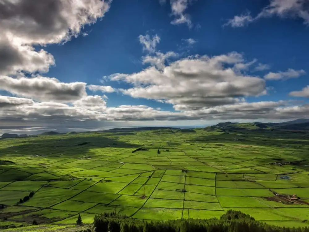 Aerial view of green agricultural fields with geometric patterns on Terceira Island.