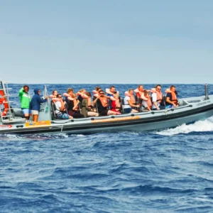 A group of people on a boat wearing life jackets during a whale and dolphin watching tour.