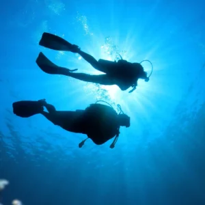 Two divers silhouetted against sunlight filtering through the water surface.