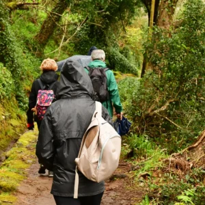A group of hikers walking along a forest trail in rainy weather, wearing jackets and carrying backpacks.