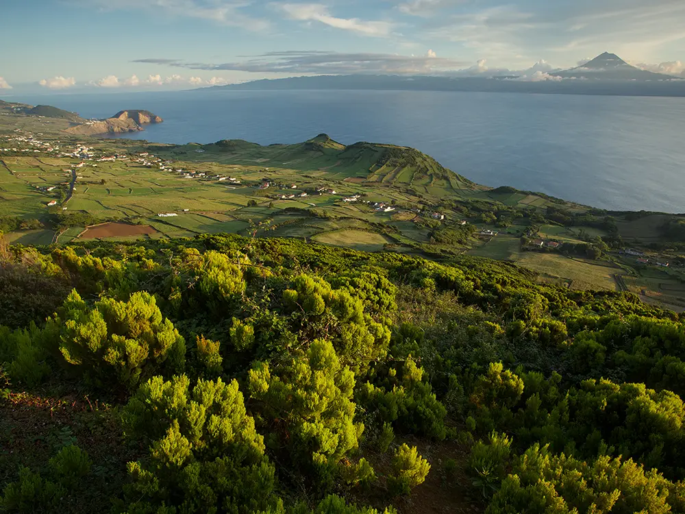 Aerial view of Pico Esperança with lush greenery and coastal scenery in the background.