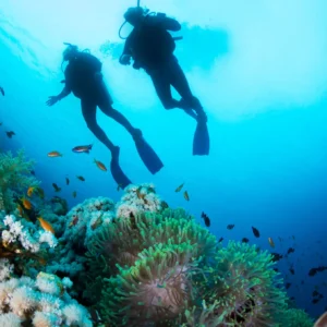 Two scuba divers exploring a coral reef underwater with various fish swimming around.