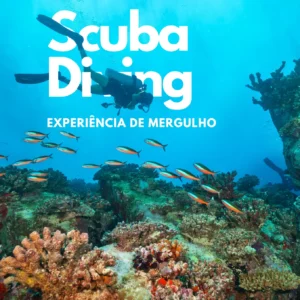 Underwater scene with a scuba diver and various fish swimming near coral reefs.