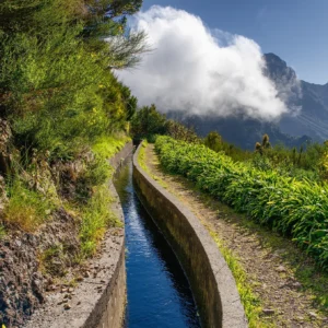 Levada walking trail with a narrow water channel surrounded by greenery in Serra d'Água.