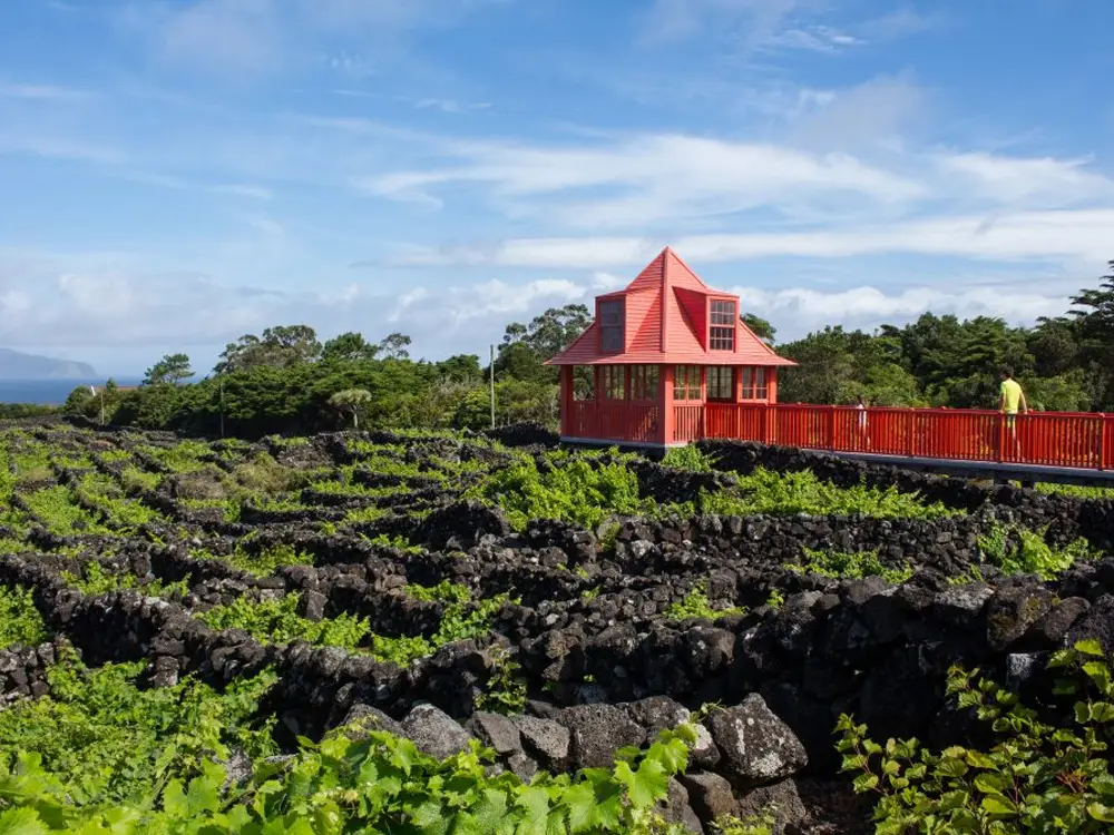 Red building surrounded by terraced vineyards in a rural landscape.