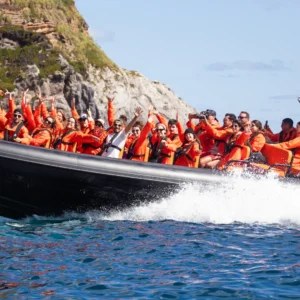 Tour de Barco pela Costa Norte – São Miguel