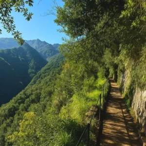 Secret Trails – Full day – Madeira